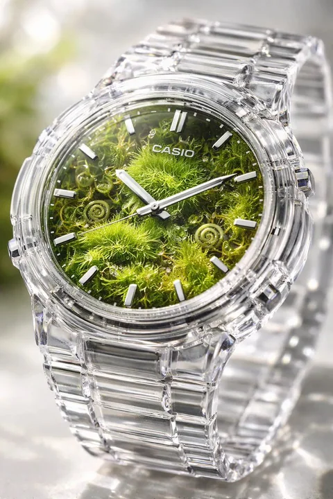 Micro Oasis in a Transparent Crystal Watch