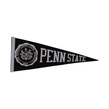 聚光灯下的总统演说