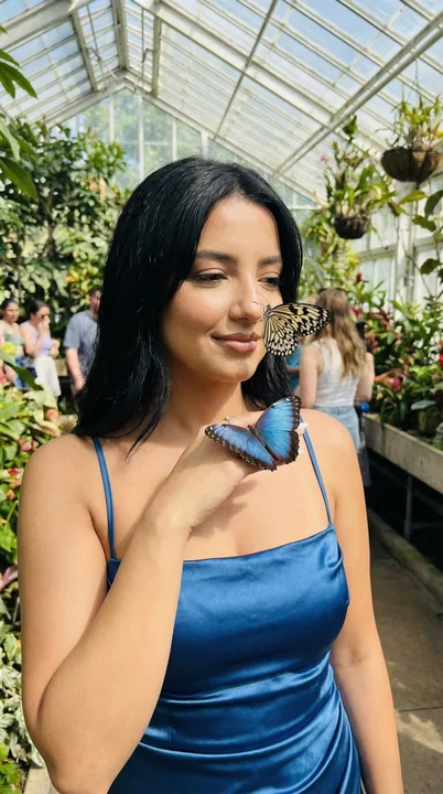 蓝绸少女与温室蝴蝶的梦幻邂逅