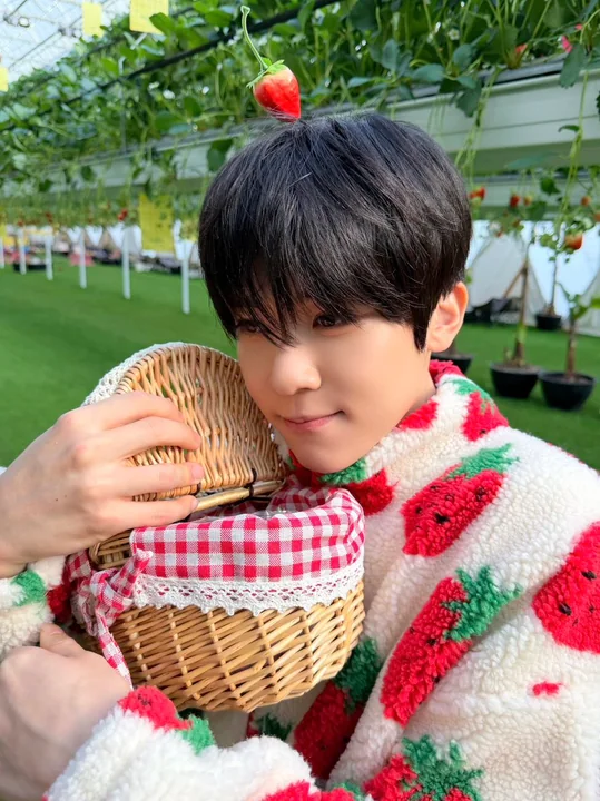 极简字符拼凑的红草莓