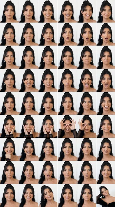 48 Grid Male Model Emotion Atlas