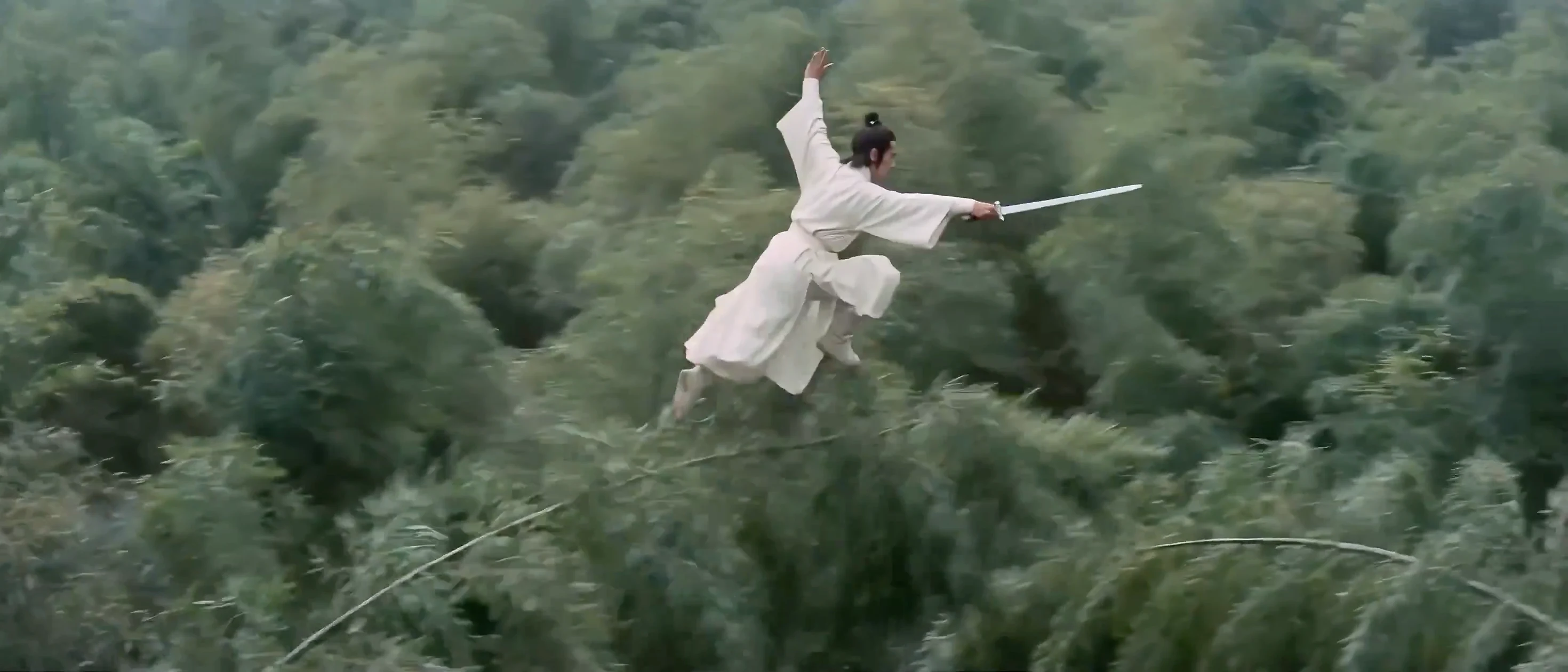 الفارس الأبيض في غابة البامبو العميقة