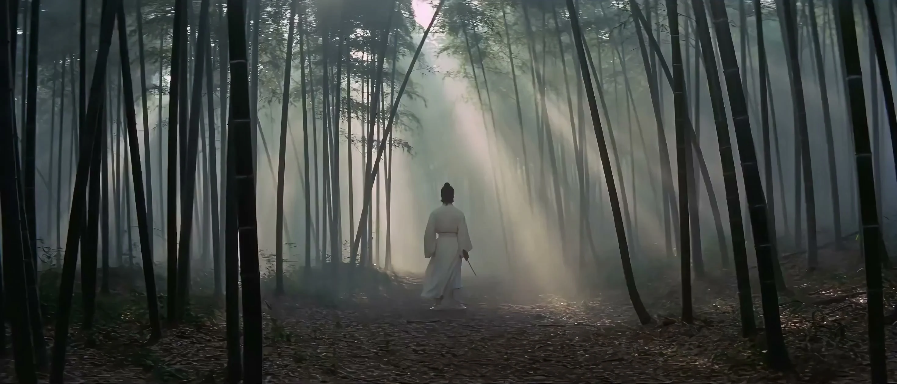 Cinematography of Chan Zen aesthetic in Hu Jinquan-style martial arts films