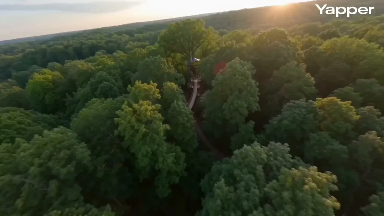 Immersive FPV flying in the Golden Hour Forest Treehouse